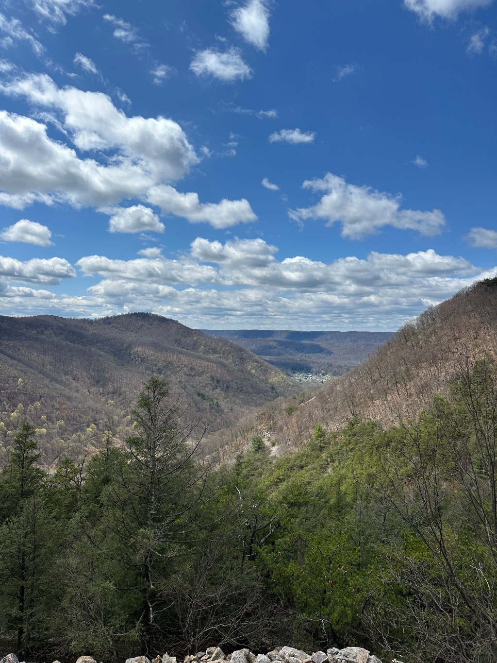 Steps to Stillness: My Journey Up the 1,000&nbsp;Steps